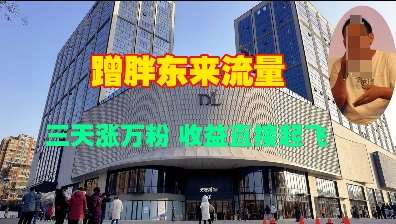 蹭胖东来流量，三天涨万粉，收益直接起飞副业基地_极客搞钱_中创网_福缘网_冒泡网_资源整合平台副业基地