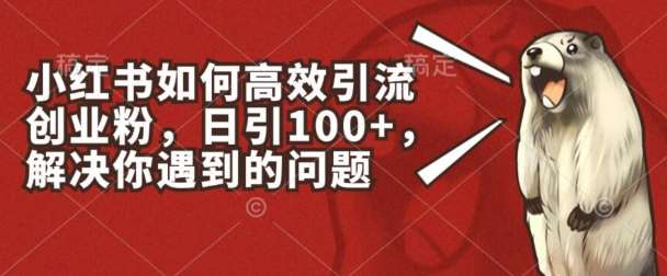 小红书如何高效引流创业粉，日引100+，解决你遇到的问题【揭秘】副业基地_极客搞钱_中创网_福缘网_冒泡网_资源整合平台副业基地