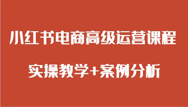 小红书电商高级运营课程 实操教学+案例分析副业基地_极客搞钱_中创网_福缘网_冒泡网_资源整合平台副业基地