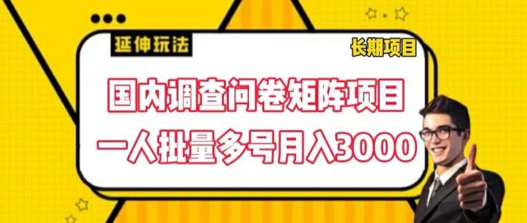国内调查问卷矩阵项目，一人批量多号月入3000【揭秘】副业基地_极客搞钱_中创网_福缘网_冒泡网_资源整合平台副业基地