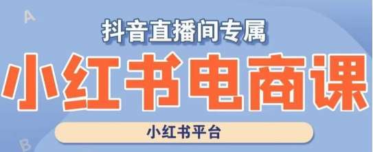 小红书电商高级运营课程，实操教学+案例分析副业基地_极客搞钱_中创网_福缘网_冒泡网_资源整合平台副业基地