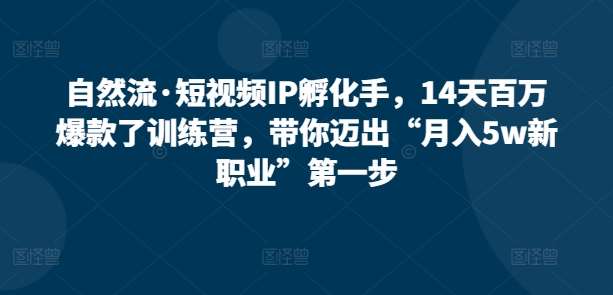 自然流·短视频IP孵化手，14天百万爆款了训练营，带你迈出“月入5w新职业”第一步副业基地_极客搞钱_中创网_福缘网_冒泡网_资源整合平台副业基地