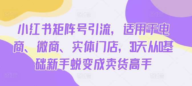 小红书矩阵号引流，适用于电商、微商、实体门店，30天从0基础新手蜕变成卖货高手副业基地_极客搞钱_中创网_福缘网_冒泡网_资源整合平台副业基地