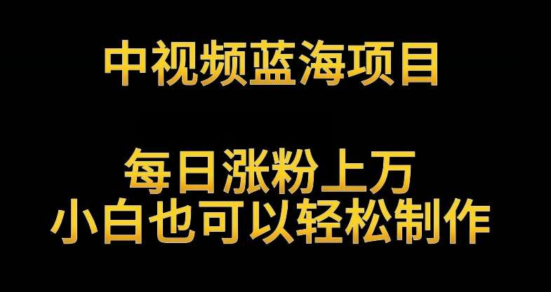 中视频蓝海项目，解读英雄人物生平，每日涨粉上万，小白也可以轻松制作，月入过万不是梦【揭秘】副业基地_极客搞钱_中创网_福缘网_冒泡网_资源整合平台副业基地