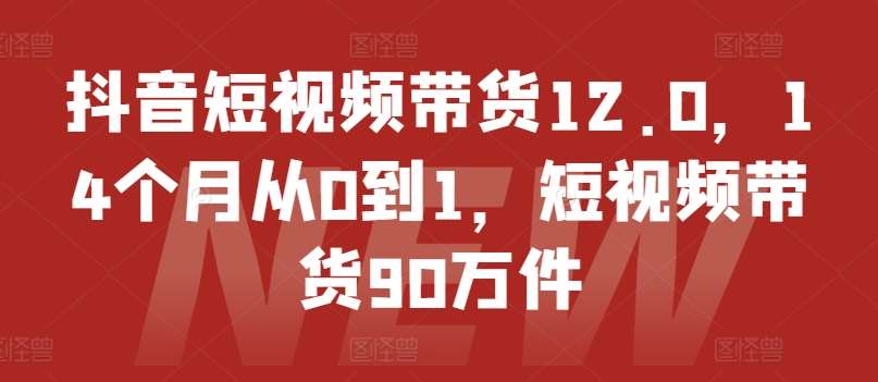 抖音短视频带货12.0，14个月从0到1，短视频带货90万件副业基地_极客搞钱_中创网_福缘网_冒泡网_资源整合平台副业基地