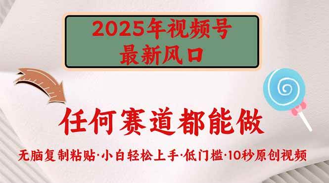 （14453期）2025年视频号新风口，低门槛只需要无脑执行副业基地_极客搞钱_中创网_福缘网_冒泡网_资源整合平台副业基地