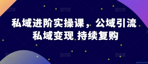 私域进阶实操课，公域引流 私域变现 持续复购副业基地_极客搞钱_中创网_福缘网_冒泡网_资源整合平台副业基地