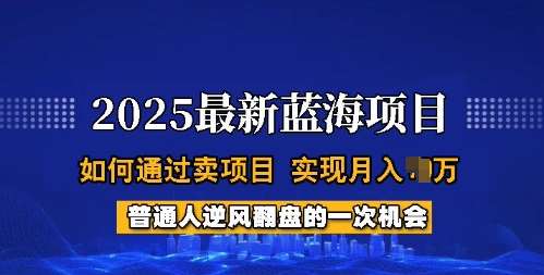 2025蓝海项目，普通人如何通过卖项目，实现月入过W，全过程【揭秘】副业基地_极客搞钱_中创网_福缘网_冒泡网_资源整合平台副业基地