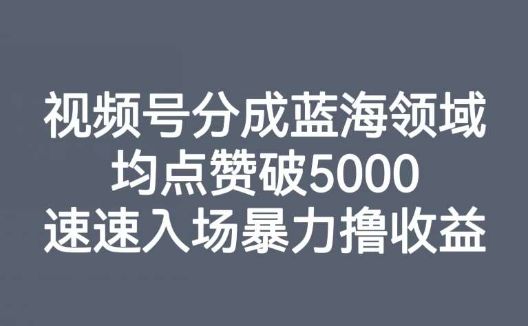 视频号分成蓝海领域，均点赞破5000，速速入场暴力撸收益副业基地_极客搞钱_中创网_福缘网_冒泡网_资源整合平台副业基地