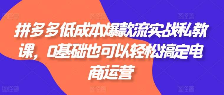 拼多多低成本爆款流实战私教课，0基础也可以轻松搞定电商运营副业基地_极客搞钱_中创网_福缘网_冒泡网_资源整合平台副业基地