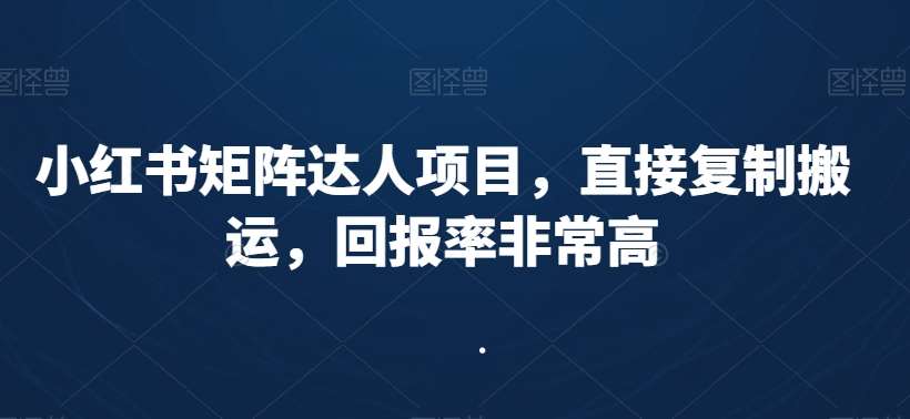 小红书矩阵达人项目，直接复制搬运，回报率非常高副业基地_极客搞钱_中创网_福缘网_冒泡网_资源整合平台副业基地