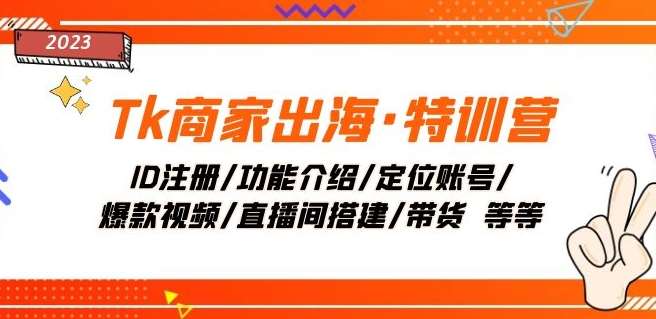 Tk商家出海·特训营：ID注册/功能介绍/定位账号/爆款视频/直播间搭建/带货副业基地_极客搞钱_中创网_福缘网_冒泡网_资源整合平台副业基地