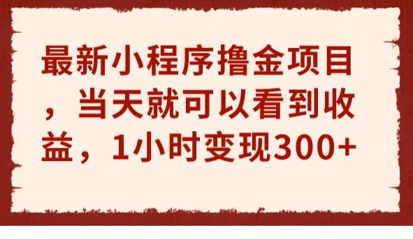 最新小程序撸金项目，当天就可以看到收益，1小时变现300+【揭秘】副业基地_极客搞钱_中创网_福缘网_冒泡网_资源整合平台副业基地
