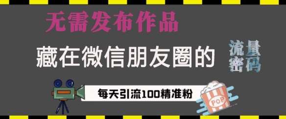 藏在微信朋友圈的流量密码，无需发布作品，单日引流100+精准创业粉【揭秘】副业基地_极客搞钱_中创网_福缘网_冒泡网_资源整合平台副业基地