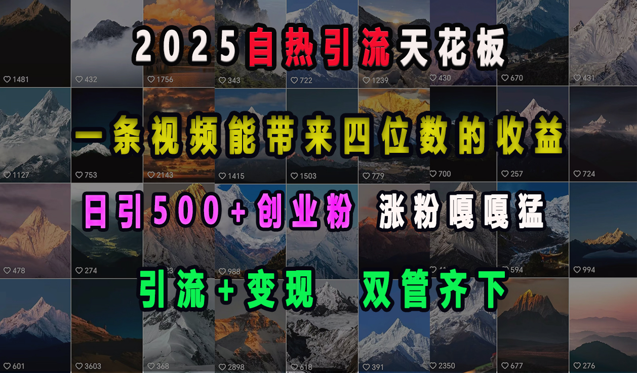 2025自热引流天花板，一条视频能带来四位数的收益，引流+变现双管齐下，日引500+创业粉，涨粉嘎嘎猛副业基地_极客搞钱_中创网_福缘网_冒泡网_资源整合平台副业基地