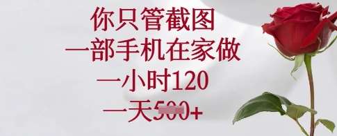 你只管截图，一部手机在家做，一小时120.一天5张【揭秘】副业基地_极客搞钱_中创网_福缘网_冒泡网_资源整合平台副业基地
