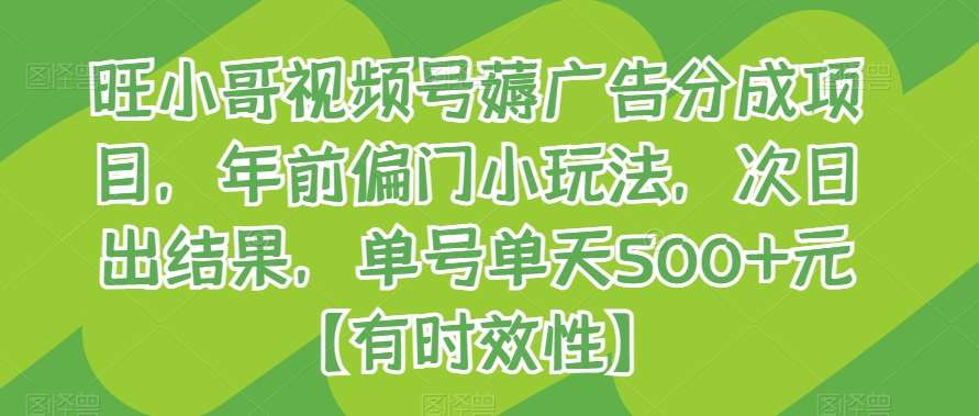 旺小哥视频号薅广告分成项目，年前偏门小玩法，次日出结果，单号单天500+元【有时效性】副业基地_极客搞钱_中创网_福缘网_冒泡网_资源整合平台副业基地