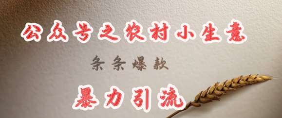 deepseek写农村小项目，条条爆款，暴力引流副业基地_极客搞钱_中创网_福缘网_冒泡网_资源整合平台副业基地
