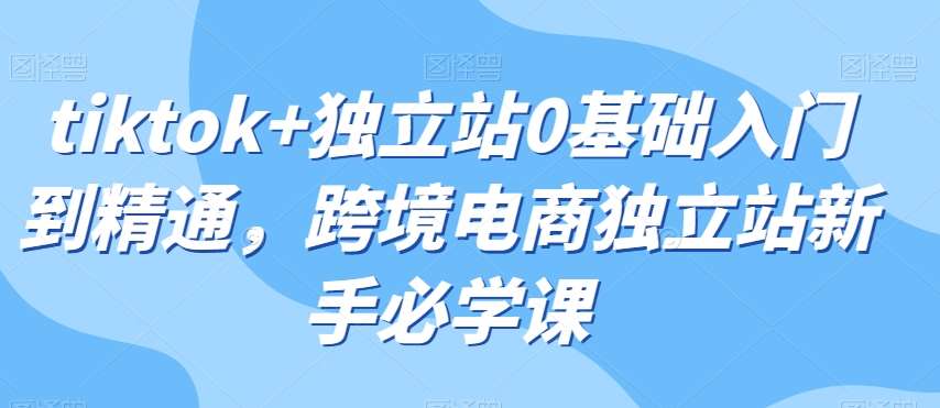 tiktok+独立站0基础入门到精通，跨境电商独立站新手必学课副业基地_极客搞钱_中创网_福缘网_冒泡网_资源整合平台副业基地