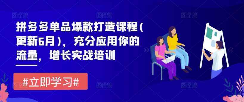 拼多多单品爆款打造课程(更新6月)，充分应用你的流量，增长实战培训副业基地_极客搞钱_中创网_福缘网_冒泡网_资源整合平台副业基地
