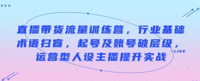 直播带货流量训练营，行业基础术语扫盲，起号及账号破层级，运营型人设主播提升实战副业基地_极客搞钱_中创网_福缘网_冒泡网_资源整合平台副业基地