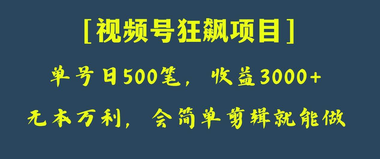 日收款500笔，纯利润3000+，视频号狂飙项目！副业基地_极客搞钱_中创网_福缘网_冒泡网_资源整合平台副业基地