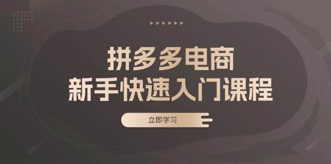（13289期）拼多多电商新手快速入门课程：涵盖基础、实战与选款，助力小白轻松上手副业基地_极客搞钱_中创网_福缘网_冒泡网_资源整合平台副业基地
