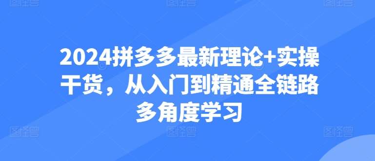 2024拼多多最新理论+实操干货，从入门到精通全链路多角度学习副业基地_极客搞钱_中创网_福缘网_冒泡网_资源整合平台副业基地