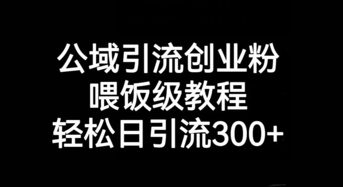 公域引流创业粉，喂饭级教程，轻松日引流300+【揭秘】副业基地_极客搞钱_中创网_福缘网_冒泡网_资源整合平台副业基地