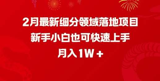 2月最新细分领域落地项目，新手小白也可快速上手，月入1W副业基地_极客搞钱_中创网_福缘网_冒泡网_资源整合平台副业基地