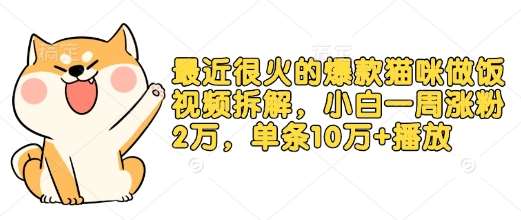 最近很火的爆款猫咪做饭视频拆解，小白一周涨粉2万，单条10万+播放(附保姆级教程)副业基地_极客搞钱_中创网_福缘网_冒泡网_资源整合平台副业基地