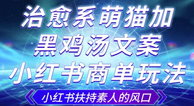 治愈系萌猫加+黑鸡汤文案，小红书商单玩法，3~10天涨到1000粉，一单200左右副业基地_极客搞钱_中创网_福缘网_冒泡网_资源整合平台副业基地