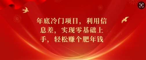 年底冷门项目，利用信息差，实现零基础上手，轻松赚个肥年钱【揭秘】副业基地_极客搞钱_中创网_福缘网_冒泡网_资源整合平台副业基地
