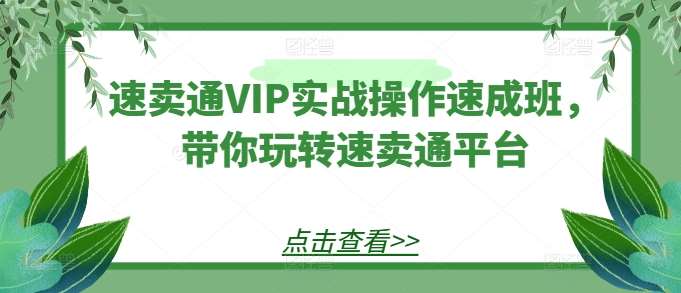 速卖通VIP实战操作速成班，带你玩转速卖通平台副业基地_极客搞钱_中创网_福缘网_冒泡网_资源整合平台副业基地