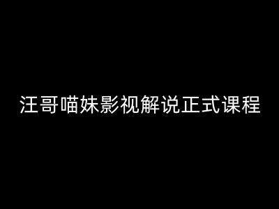 汪哥影视解说正式课程：剪映/PR教学/视解说剪辑5大黄金法则/全流程剪辑7把利器等等副业基地_极客搞钱_中创网_福缘网_冒泡网_资源整合平台副业基地
