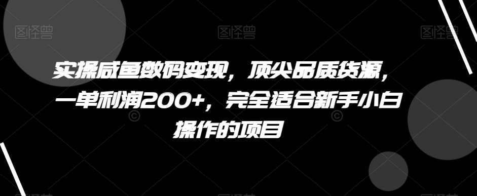 实操咸鱼数码变现，顶尖品质货源，一单利润200+，完全适合新手小白操作的项目【揭秘】副业基地_极客搞钱_中创网_福缘网_冒泡网_资源整合平台副业基地