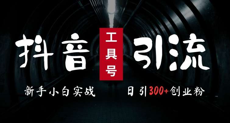 2024最新抖音工具号引流玩法，高效日引300+创业粉，当天变现5k，小白也可成为实战高手副业基地_极客搞钱_中创网_福缘网_冒泡网_资源整合平台副业基地