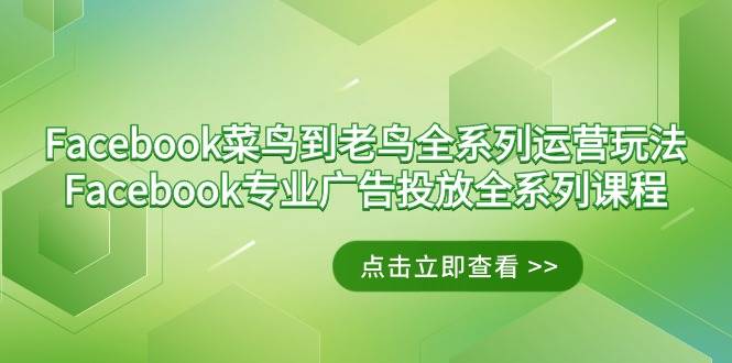 （9064期）Facebook-菜鸟到老鸟全系列运营玩法+Facebook-专业广告投放全系列课程副业基地_极客搞钱_中创网_福缘网_冒泡网_资源整合平台副业基地