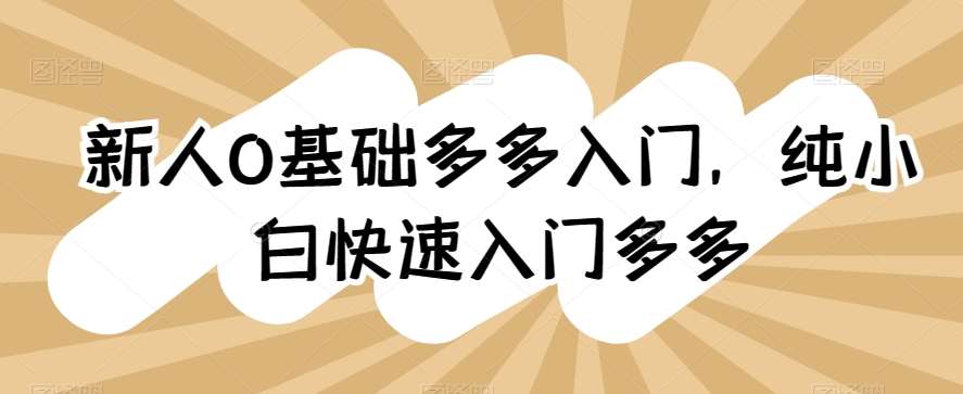 新人0基础多多入门，​纯小白快速入门多多副业基地_极客搞钱_中创网_福缘网_冒泡网_资源整合平台副业基地