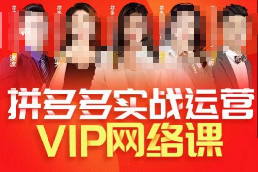 推易拼多多VIP全套直播课程，拼多多店铺实操玩法+实战玩法选款内功+直通车高阶等副业基地_极客搞钱_中创网_福缘网_冒泡网_资源整合平台副业基地
