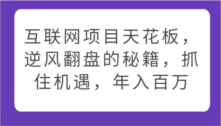 互联网项目天花板，逆风翻盘的秘籍，抓住机遇，年入百万副业基地_极客搞钱_中创网_福缘网_冒泡网_资源整合平台副业基地