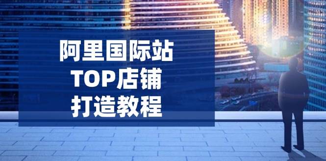 （14269期）阿里国际站TOP店铺打造教程：涵盖平台到高阶，解决运营难题，提升询盘副业基地_极客搞钱_中创网_福缘网_冒泡网_资源整合平台副业基地