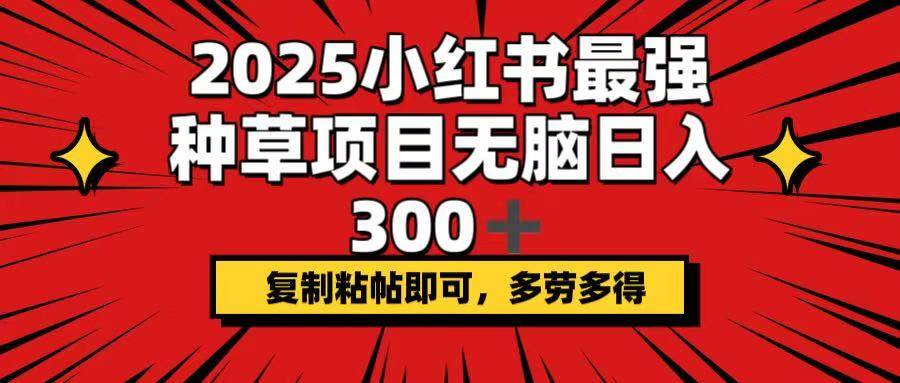 （14375期）2025小红书最强种草项目，无脑日入300+，复制粘帖即可，多劳多得副业基地_极客搞钱_中创网_福缘网_冒泡网_资源整合平台副业基地