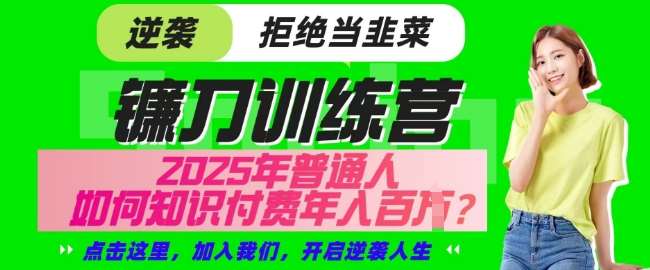 【网创项目终点站-镰刀训练营超级IP合伙人】25年普通人如何通过知识付费实现逆袭【揭秘】副业基地_极客搞钱_中创网_福缘网_冒泡网_资源整合平台副业基地