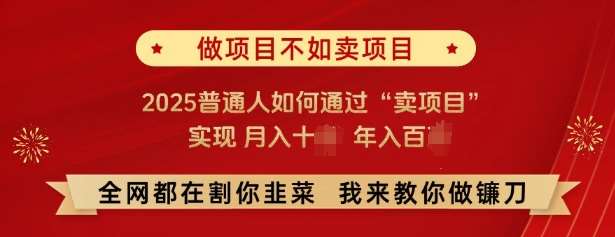 必看，做项目不如卖项目，2025普通人如何通过“卖项目”实现月入十个，年入百个副业基地_极客搞钱_中创网_福缘网_冒泡网_资源整合平台副业基地
