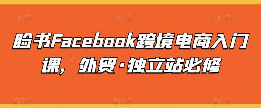 脸书Facebook跨境电商入门课，外贸·独立站必修副业基地_极客搞钱_中创网_福缘网_冒泡网_资源整合平台副业基地