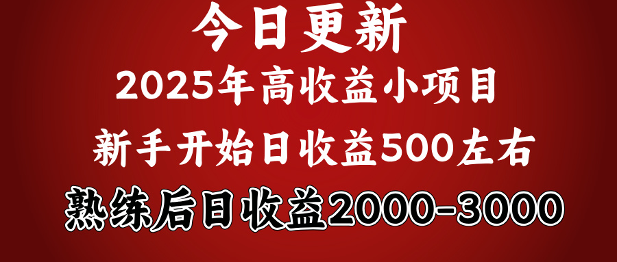 2025开年好项目，新手日收益500+ 熟练掌握后，日收益平均2000多副业基地_极客搞钱_中创网_福缘网_冒泡网_资源整合平台副业基地