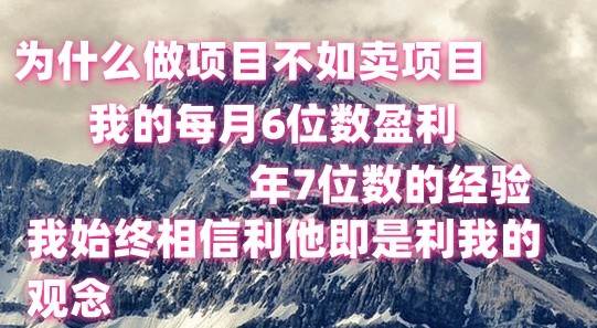 做项目不如卖项目，每月6位数盈利，年7位数经验副业基地_极客搞钱_中创网_福缘网_冒泡网_资源整合平台副业基地