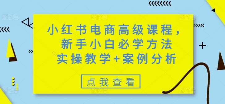 小红书电商高级课程，新手小白必学方法，实操教学+案例分析副业基地_极客搞钱_中创网_福缘网_冒泡网_资源整合平台副业基地