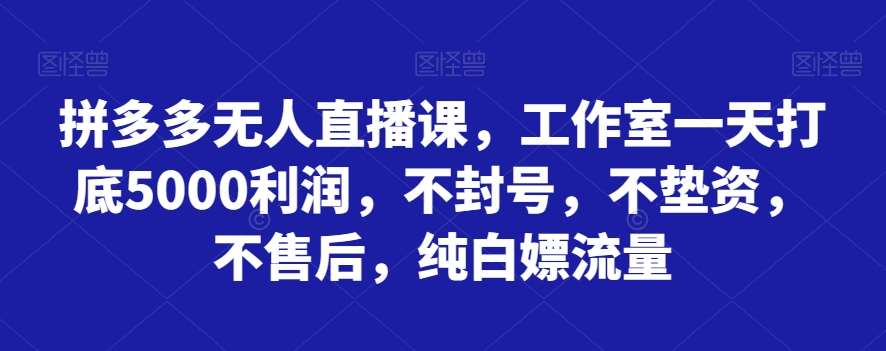 拼多多无人直播课，工作室一天打底5000利润，不封号，不垫资，不售后，纯白嫖流量副业基地_极客搞钱_中创网_福缘网_冒泡网_资源整合平台副业基地